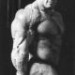 kozak1991